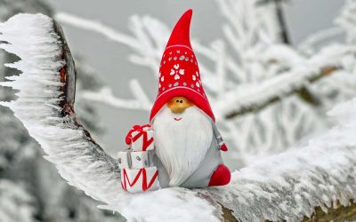 Vorgezogene Weihnachtsüberraschung im Betreuten Wohnen Binz