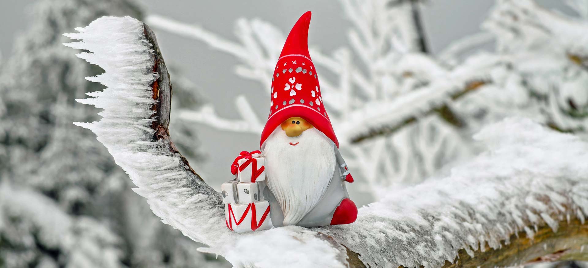 Vorgezogene Weihnachtsüberraschung im Betreuten Wohnen Binz