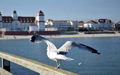 Bestellung der Gleichstellungsbeauftragten