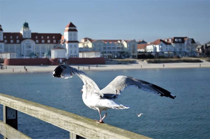 Bestellung der Gleichstellungsbeauftragten