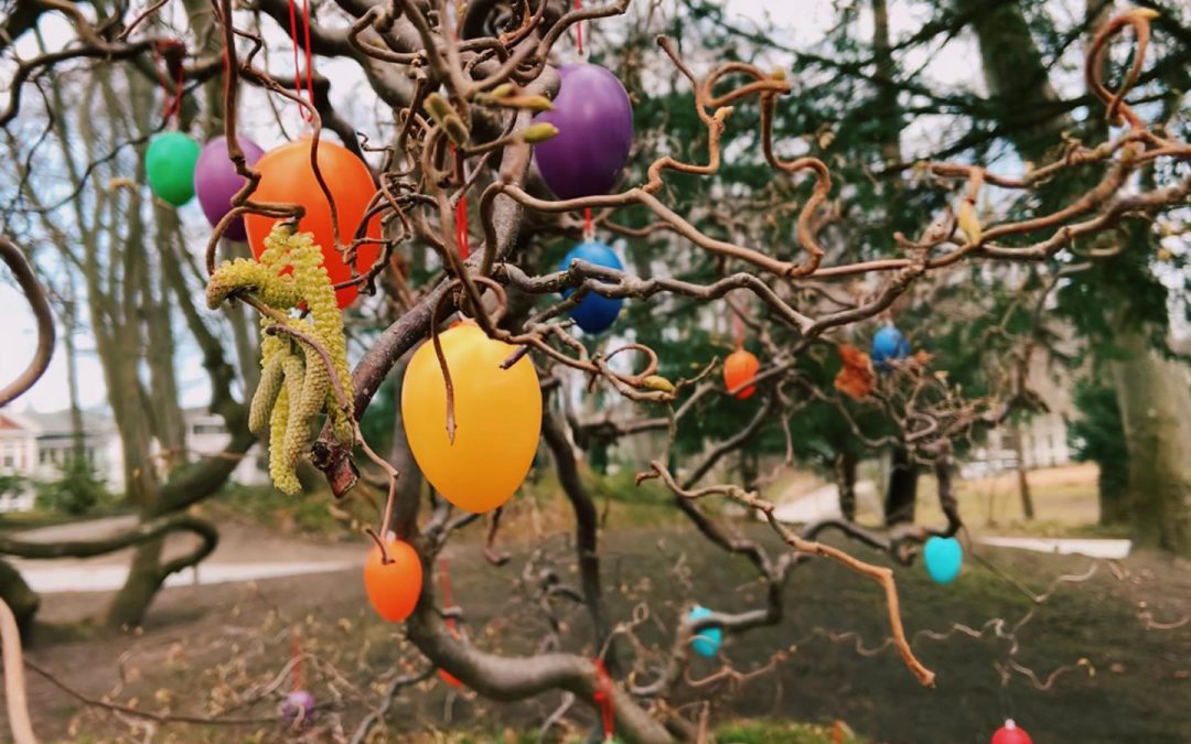 Bald nun kommt der Osterhas