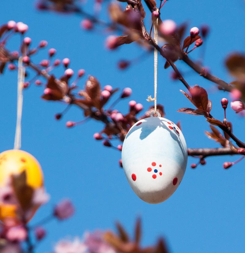 Geschmückte Sträucher im Binzer Kurpark