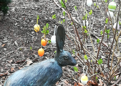 Im Kurpark Binz Frühlingsfreude