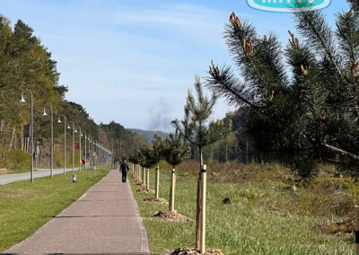 Spaziergang im April durch Binz & Prora