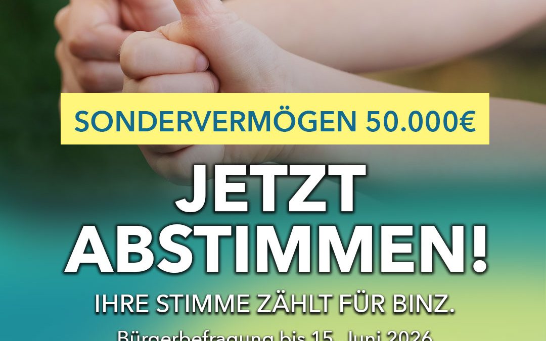 Grafik zur Bürgerbefragung über die Verwendung des Sondervermögens in Höhe von 50.000 Euro in der Gemeinde Ostseebad Binz